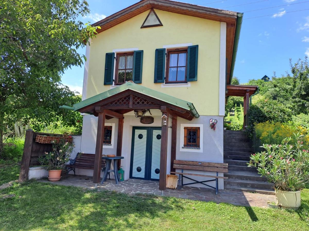 Kellerstoeckl Berta Villa Eisenberg an der Pinka Exterior photo